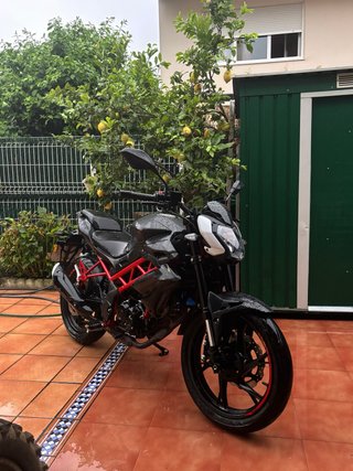 Benelli BN 125 (2022) Negra y Roja