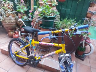 Bicicleta infantil amarilla