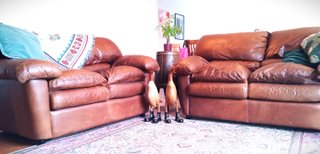 Coppia Divani Vera Pelle Vintage