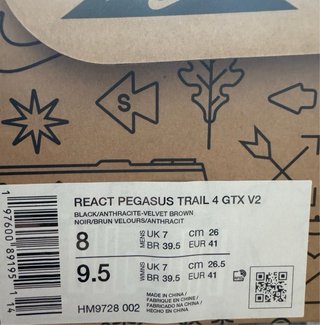 Nike Pegasus Trail 4 GTX V2 HM9728-002 T.41 EU