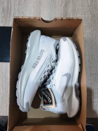 Nike Pegasus Trail 5 GTX