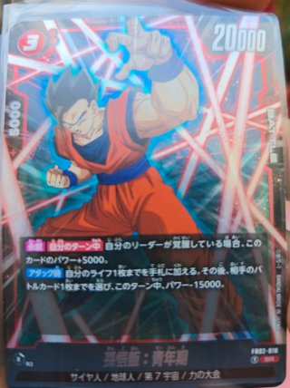 Son Gohan SR, Líder ( lote )