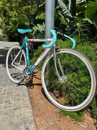 Bicicleta Orbea Zeus