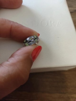 Charm Pandora Jardín Encantado Transparente