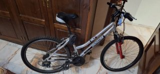 Bicicleta de Montaña Topbike Aluminio