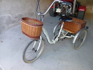 Bicicleta de montaña GTX plateada