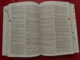 Diccionario básico de la lengua Española primaria