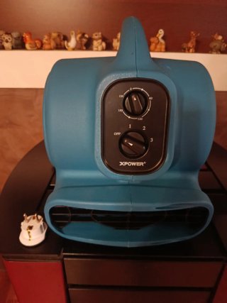 XPOWER P-230AT Soffiatore Aria 925 CFM