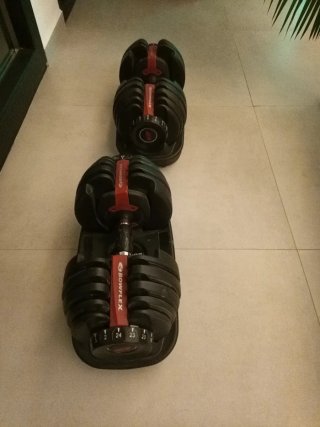 Mancuernas Ajustables Bowflex