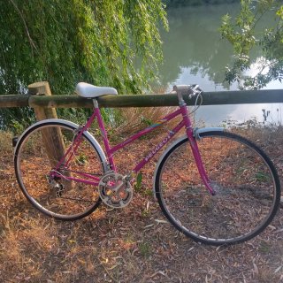Bicicleta Vintage Peugeot.
