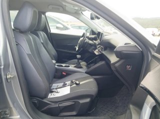 Peugeot 2008 1.5 hdi 102 cv 2020