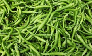Guindilla Fresca Vasca (Piparra)