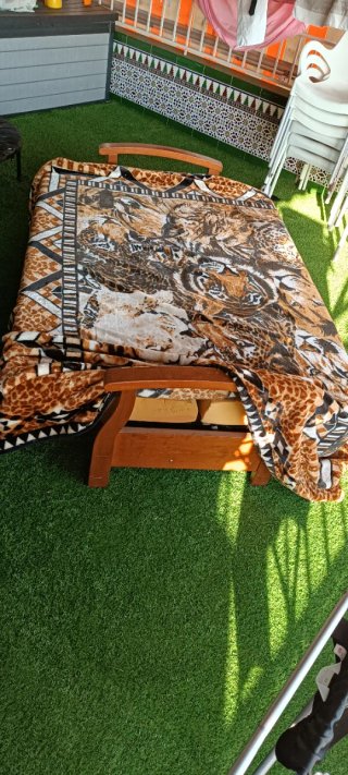 Sofá Cama Madera y de goma espuma