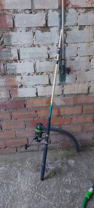 Caña de pescar con carrete