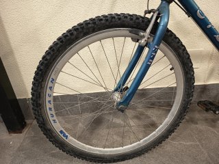 Bicicleta de Montaña