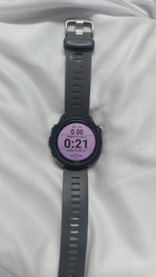 Reloj Garmin Forerunner 245 Gris