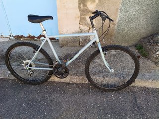 Bicicleta de Montaña Gris