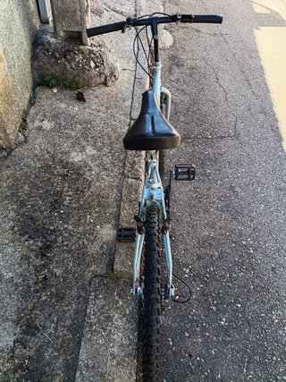 Bicicleta de Montaña Gris