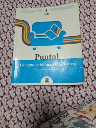 Puntal 4. Llengua catalana i Literatura 4 ESO