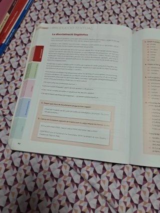 Puntal 4. Llengua catalana i Literatura 4 ESO