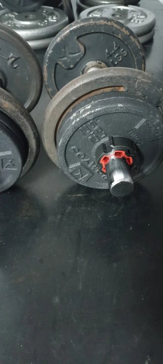 Mancuernas 20 kg (par)