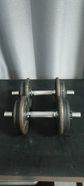 Mancuernas 20 kg (par)
