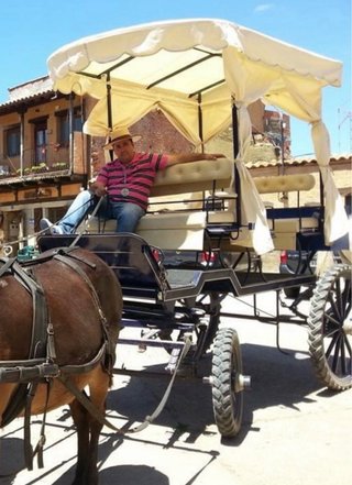 Carreta 9 plazas