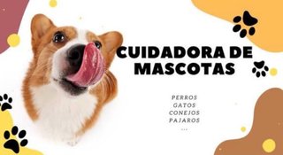 Cuidadora de mascotas
