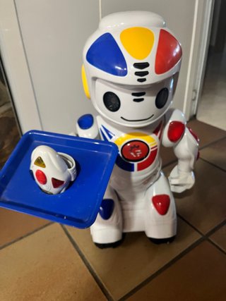Robot Radio Control