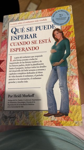 Livro Gravidez O Que Esperar Quando es espanhol