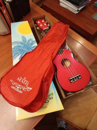 Ukelele con afinador Musedo T-2