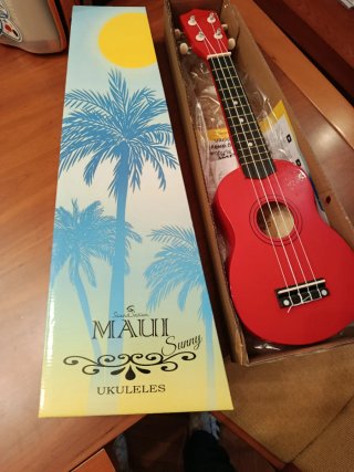 Ukelele con afinador Musedo T-2
