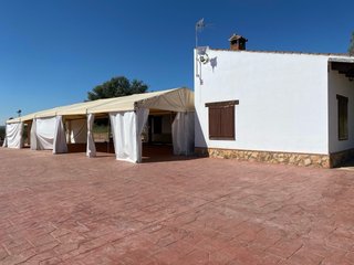 Carpa 6m Blanca