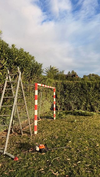 Servicios de Jardinería