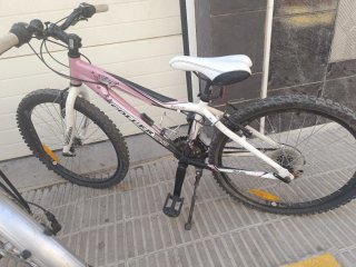 Bicicleta Boomerang