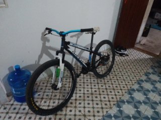 Bicicleta Stunt WEED