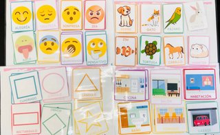 Pack Pictogramas 14 Categorías más de 100