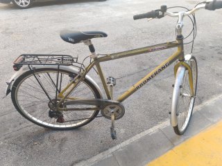Bicicleta Boomerang para adultos