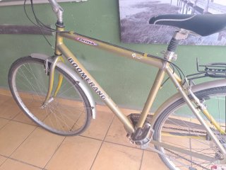 Bicicleta Boomerang para adultos