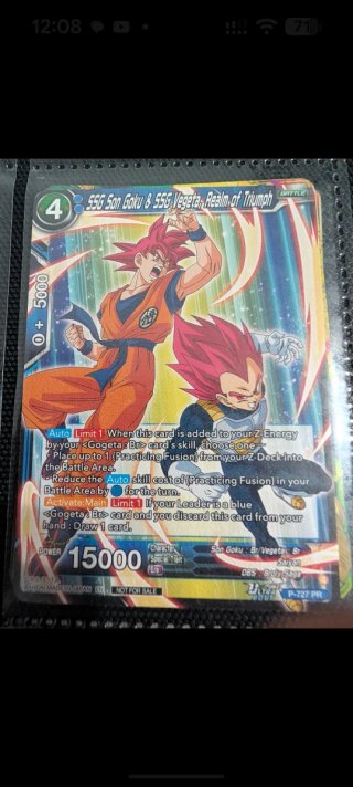 SSG Son Goku & SSG Vegeta, Realm of Triumph