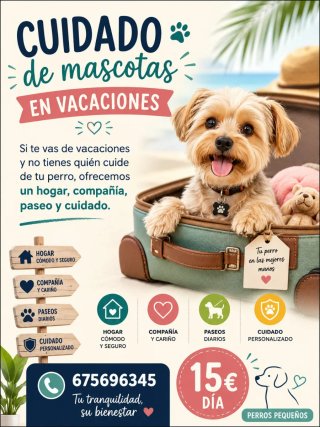 Servicios