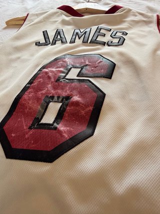 Camiseta NBA Miami Heat LeBron James