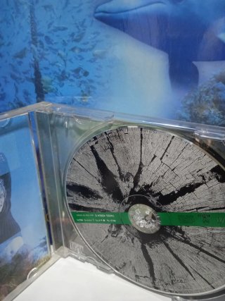 CD Owen Green Man Pop Rock Internacional