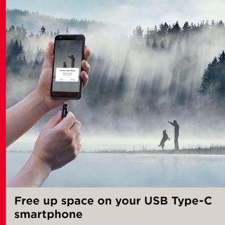 SanDisk Ultra Dual Drive Go 256GB USB
