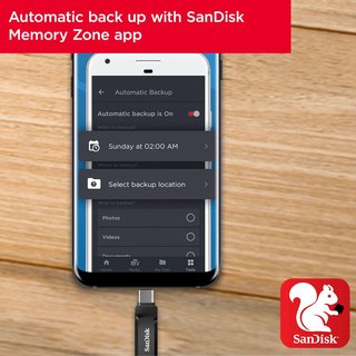 SanDisk Ultra Dual Drive Go 256GB USB