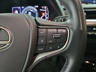 Lexus UX 2.0 250h Business