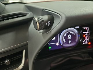 Lexus UX 2.0 250h Business