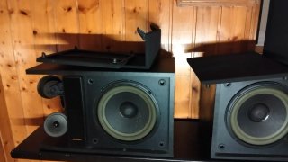 Altavoces Bose Serie 301 Negros