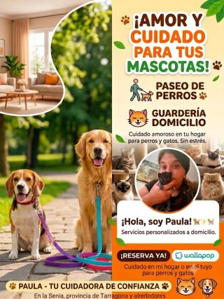 Servicio de paseo perros y guardería