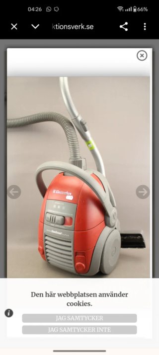 Aspiradora Electrolux Oxygen Ultra